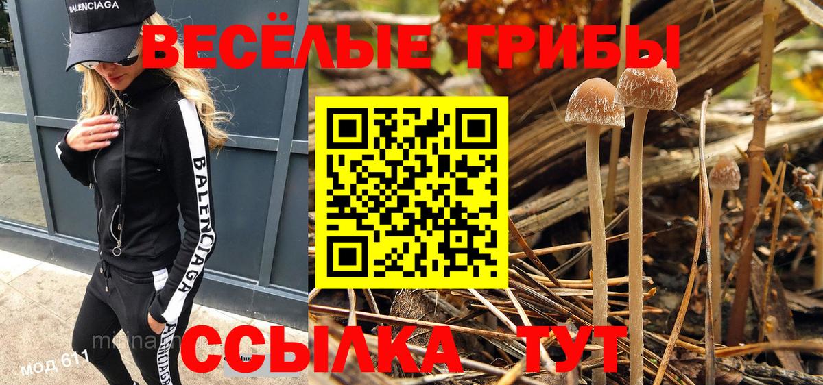 Малоярославец  Галлюциногенные грибы ЛСД  Вход с VPN 